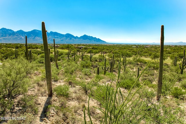 1586 W Rock Range Pl Unit 228, Oro Valley, AZ 85755