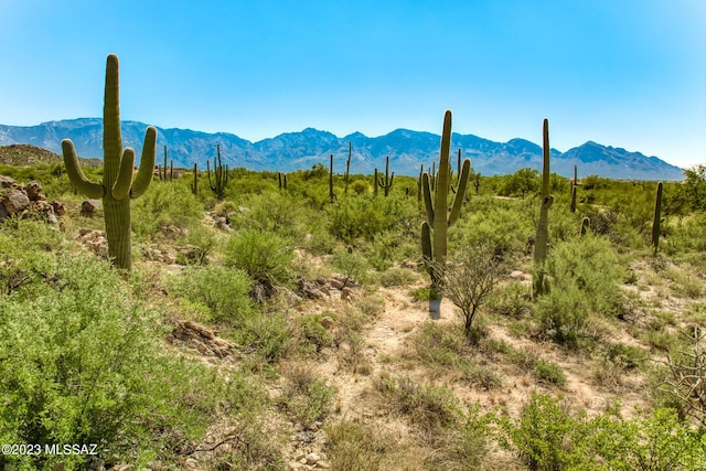 1586 W Rock Range Pl Unit 228, Oro Valley, AZ 85755