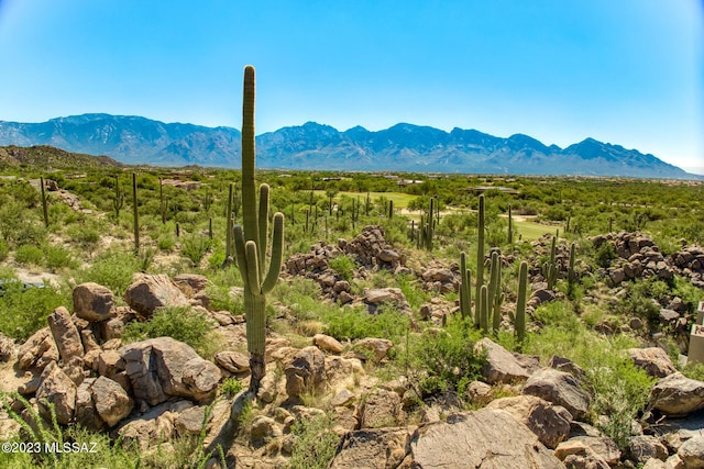 1586 W Rock Range Pl Unit 228, Oro Valley, AZ 85755
