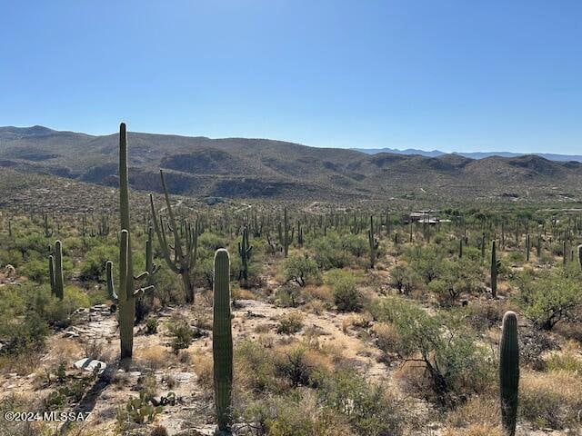 12595 E Horsehead Rd, Tucson AZ, 85749 land for sale