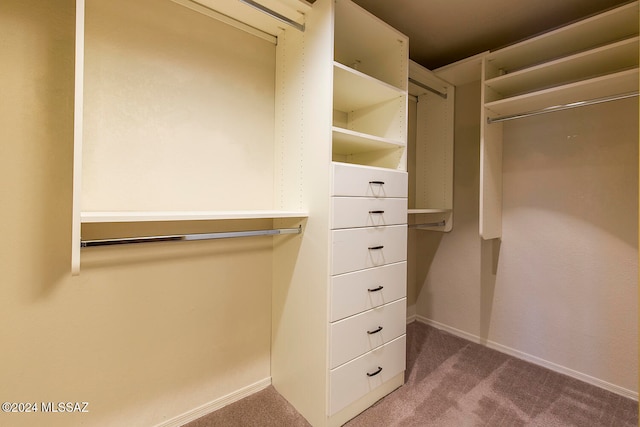 spacious closet featuring carpet