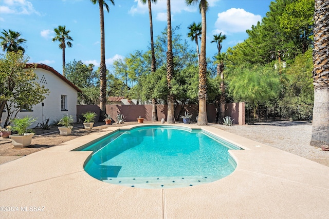 view of pool featuring a patio