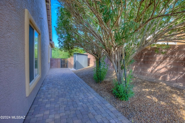 view of yard featuring a patio area and a storage shed