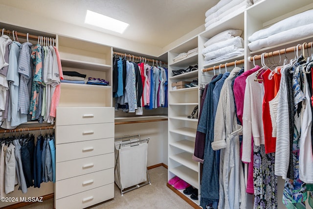 spacious closet with light colored carpet