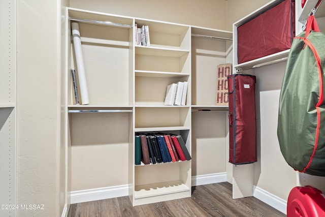 spacious closet featuring dark hardwood / wood-style flooring