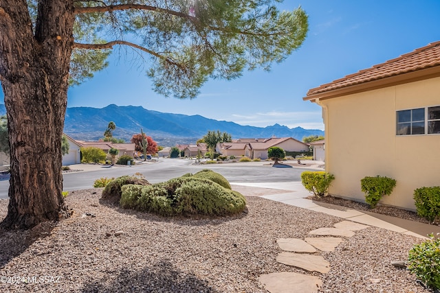 view of yard featuring a mountain view