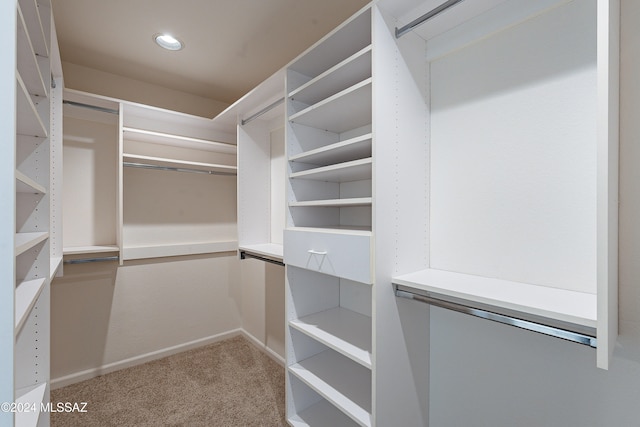 spacious closet with carpet floors