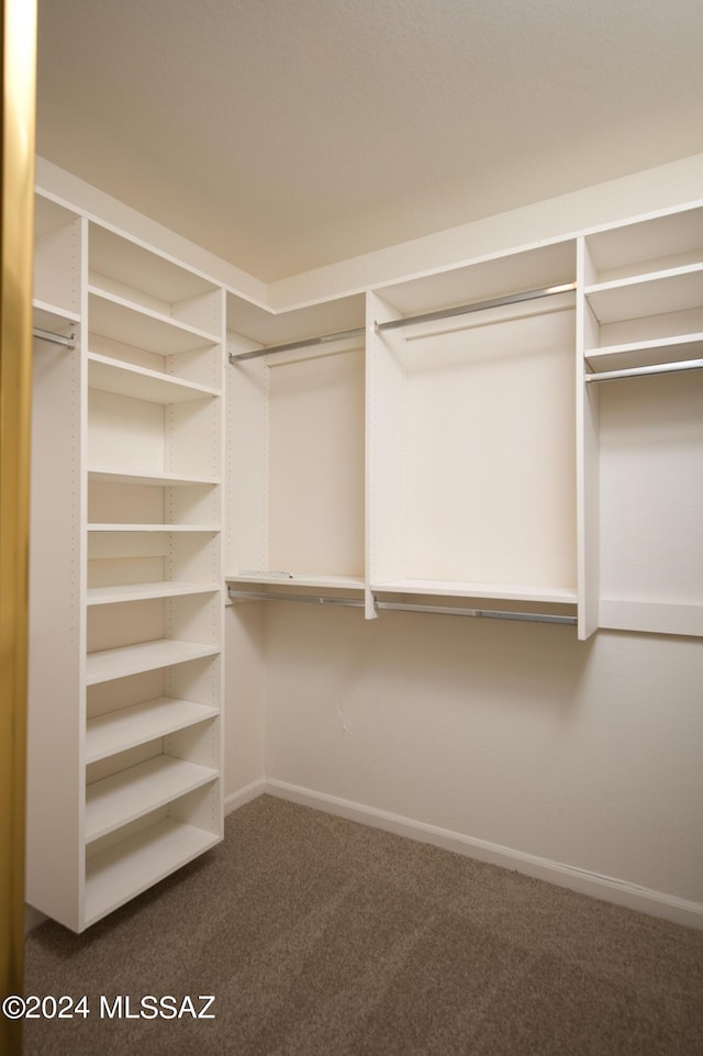 walk in closet with carpet flooring