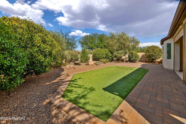 view of yard featuring a patio area