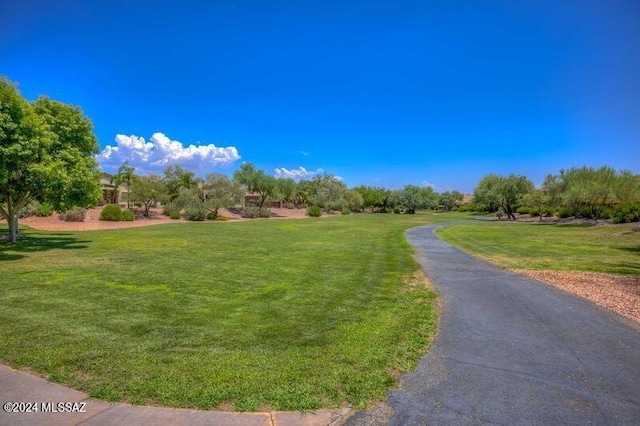 view of home's community featuring a yard