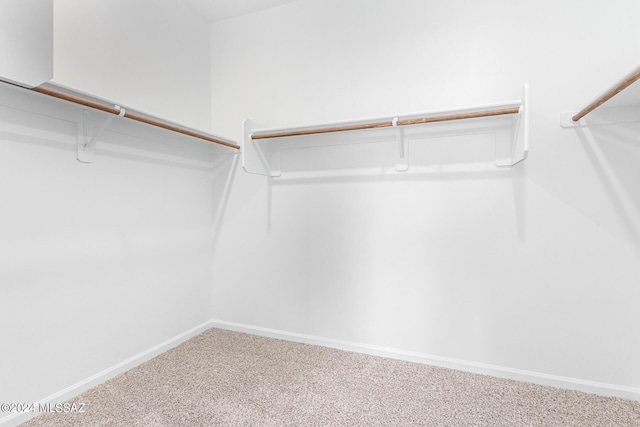 walk in closet featuring carpet