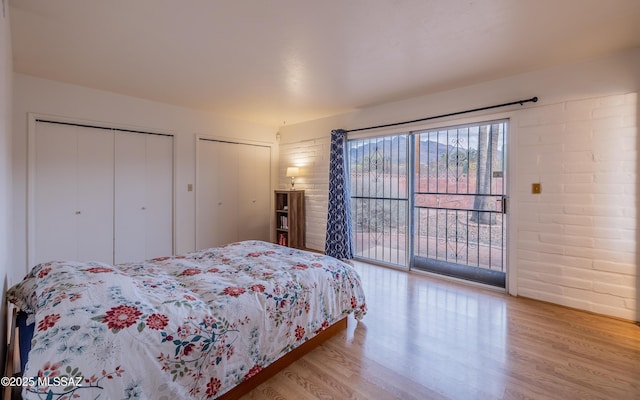 bedroom with two closets and wood finished floors