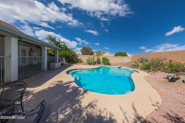 view of pool featuring a patio area