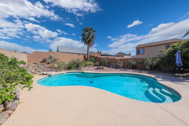 view of swimming pool with a patio and a diving board