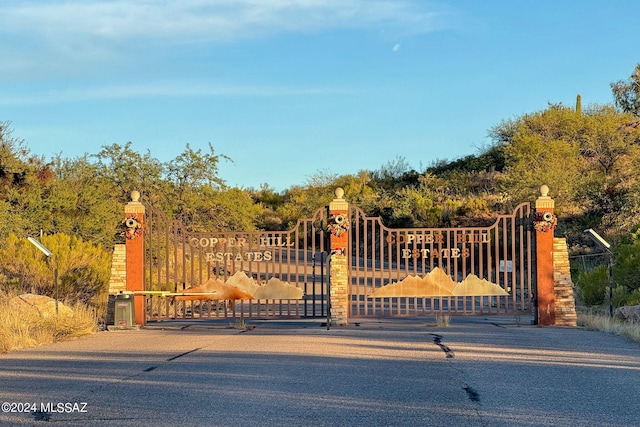 67970 E Madison Rd, Oracle, AZ 85623 - view of gate