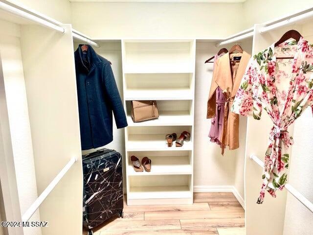 walk in closet with hardwood / wood-style flooring