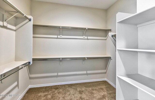 8257 S Silver Oak Dr, Tucson, AZ 85747 - spacious closet with dark colored carpet