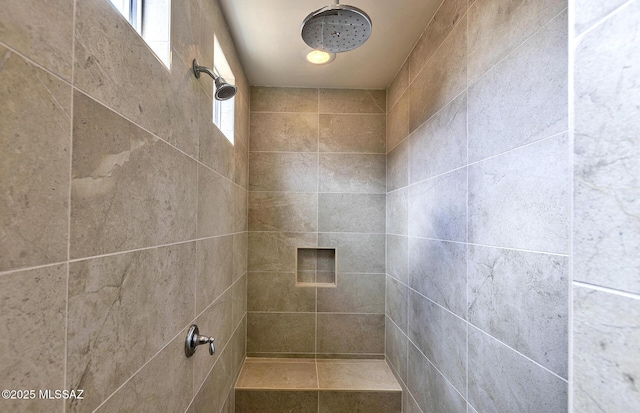 8257 S Silver Oak Dr, Tucson, AZ 85747 - full bathroom with a tile shower and plenty of natural light
