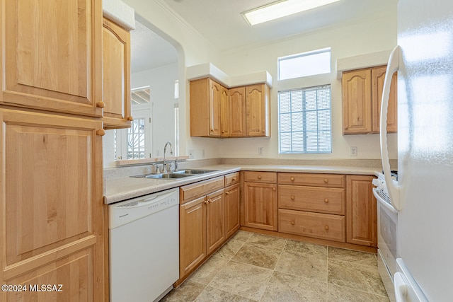 kitchen with white appliances, ornamental molding, sink, and plenty of natural light