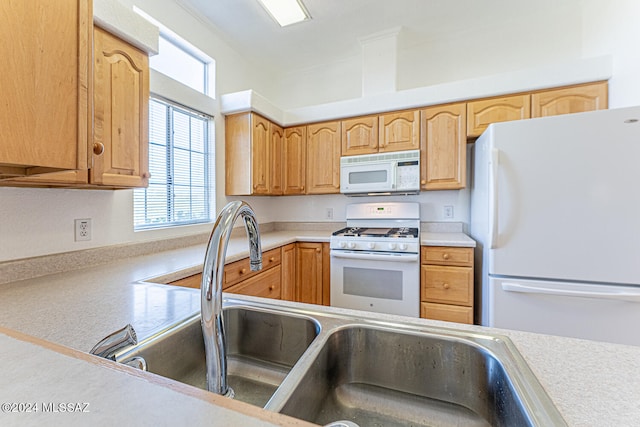 kitchen with white appliances