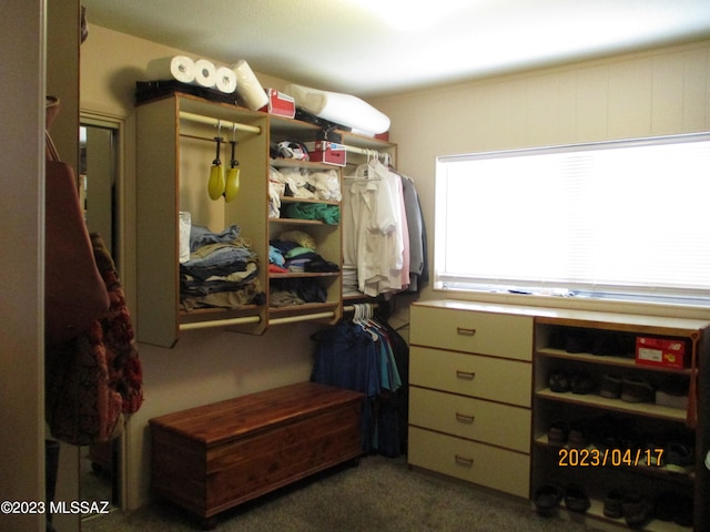 walk in closet with dark carpet