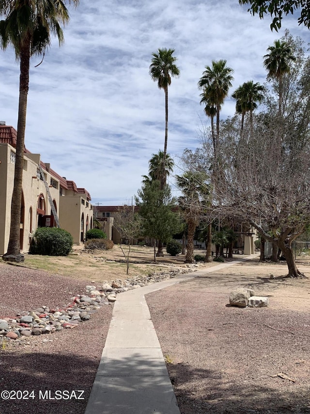 6352 N Barcelona Ln Unit 106, Tucson, AZ 85704 - view of yard