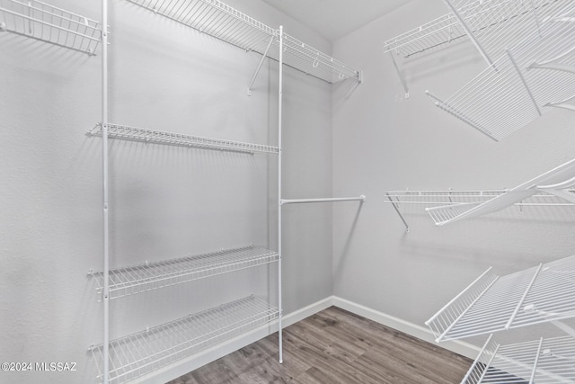 spacious closet featuring hardwood / wood-style flooring