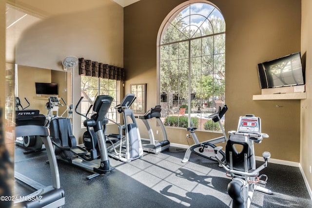 gym featuring a wealth of natural light and a towering ceiling