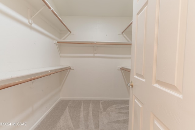 walk in closet with carpet flooring