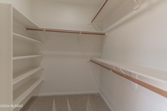 walk in closet featuring carpet flooring