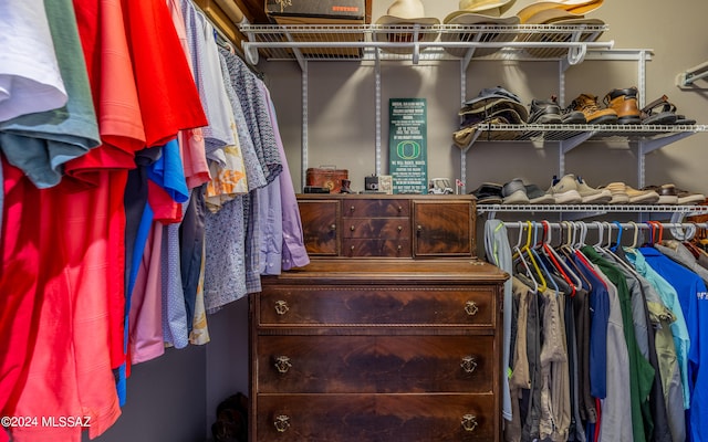 view of spacious closet