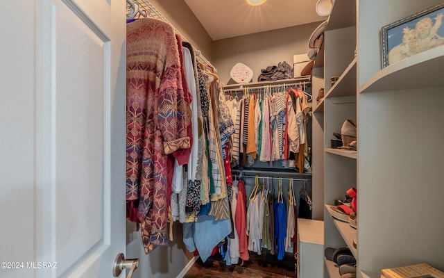 spacious closet featuring dark hardwood / wood-style flooring