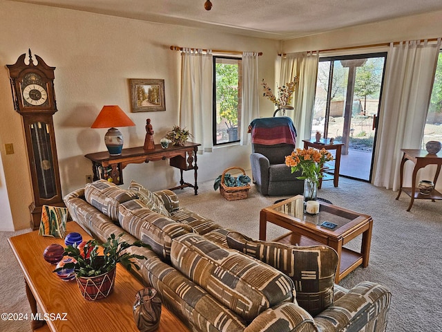 carpeted living room featuring a wealth of natural light and a textured ceiling