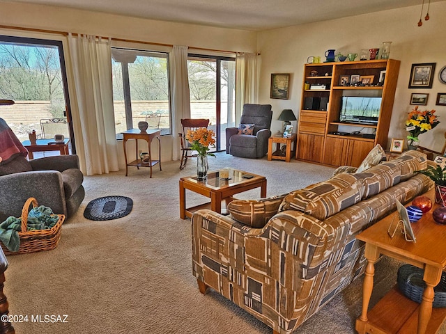 view of carpeted living room