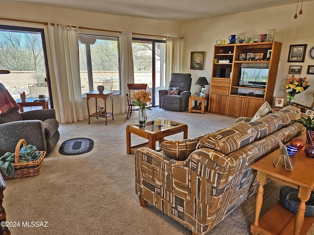 view of carpeted living area