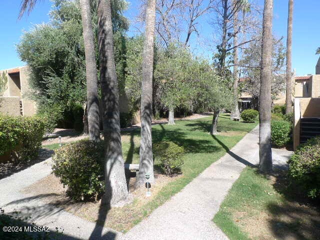 view of community with a lawn