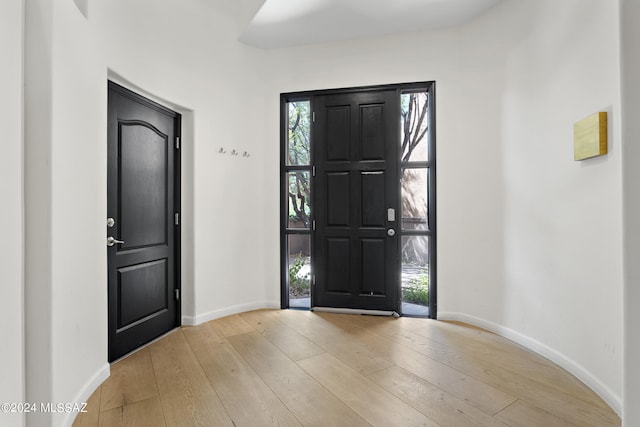 foyer with light hardwood / wood-style flooring and a wealth of natural light