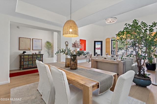 dining area with light hardwood / wood-style flooring