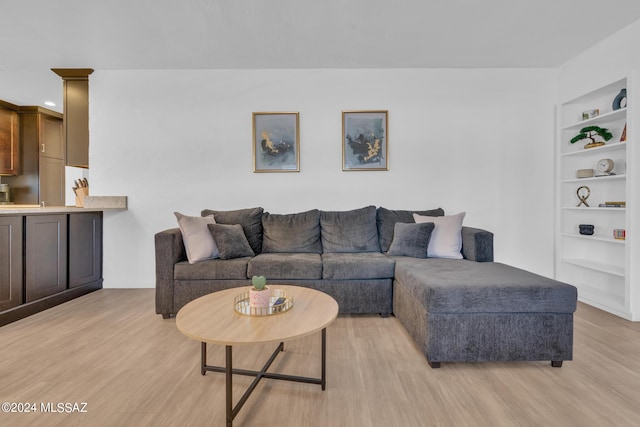 living room with built in features and light hardwood / wood-style flooring