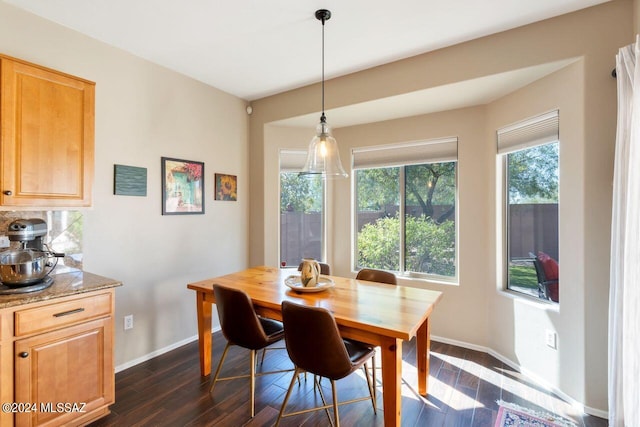 dining room with dark hardwood / wood-style flooring