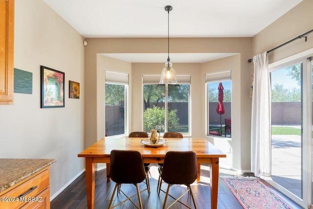 dining space with dark hardwood / wood-style floors