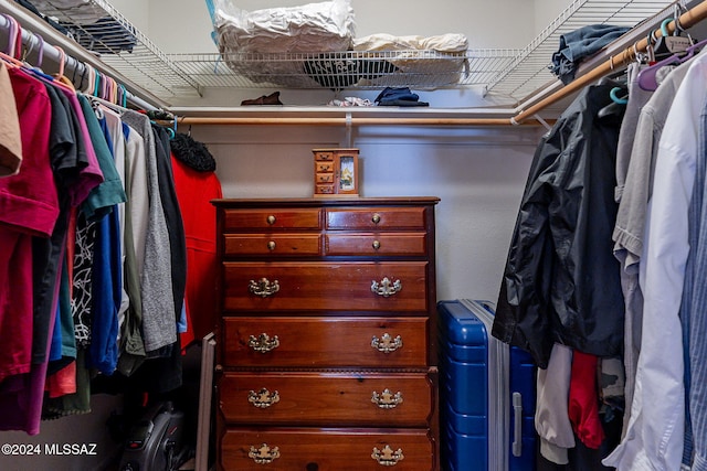 view of spacious closet