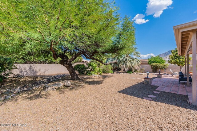 view of yard featuring a patio, a fenced backyard, and a mountain view