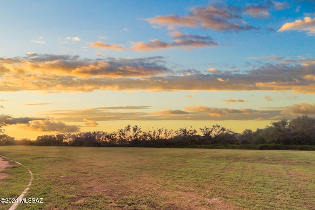 view of nature