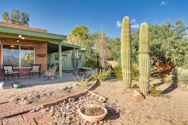 view of yard with a patio area