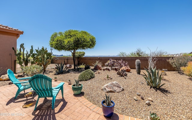 view of yard with a patio area and a fenced backyard