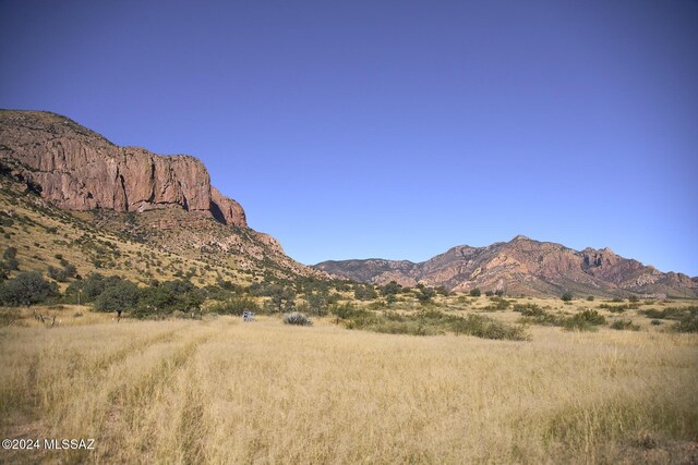 TBD W Mills Blvd Unit 25, Portal, AZ 85632