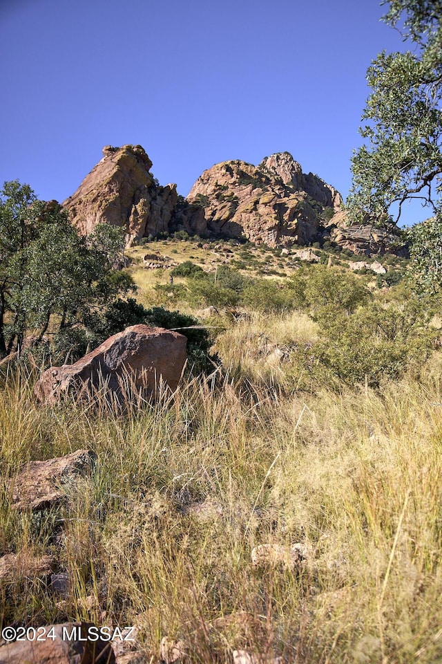 TBD W Mills Blvd Unit 25, Portal, AZ 85632