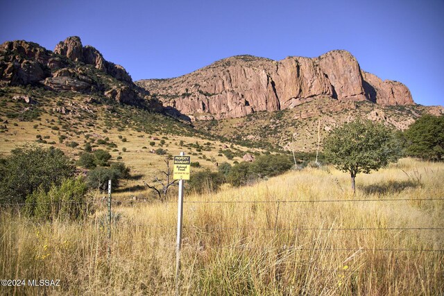 TBD W Mills Blvd Unit 25, Portal, AZ 85632