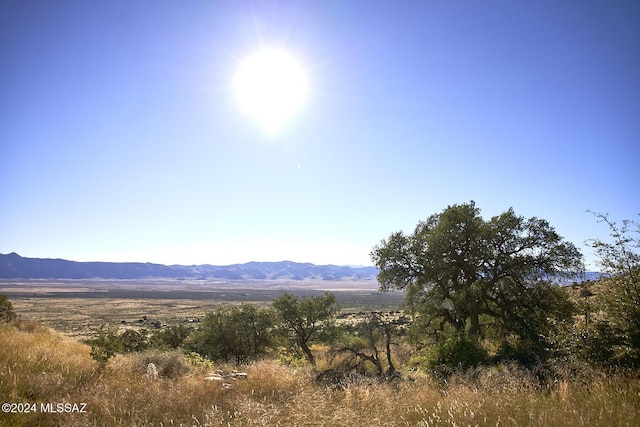 TBD W Mills Blvd Unit 25, Portal, AZ 85632